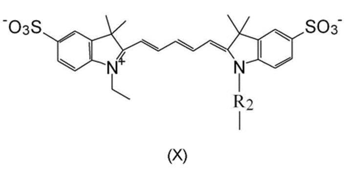 Figure JPOXMLDOC01-appb-C000019