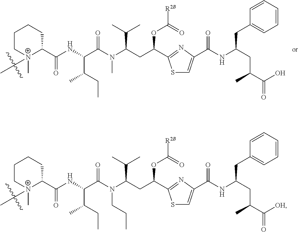 Figure US11229708-20220125-C00365