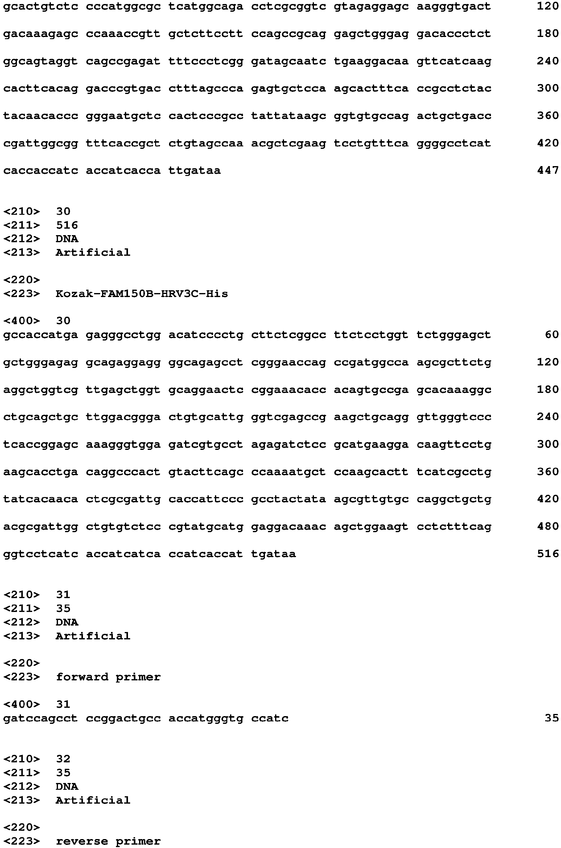 Figure imgb0029