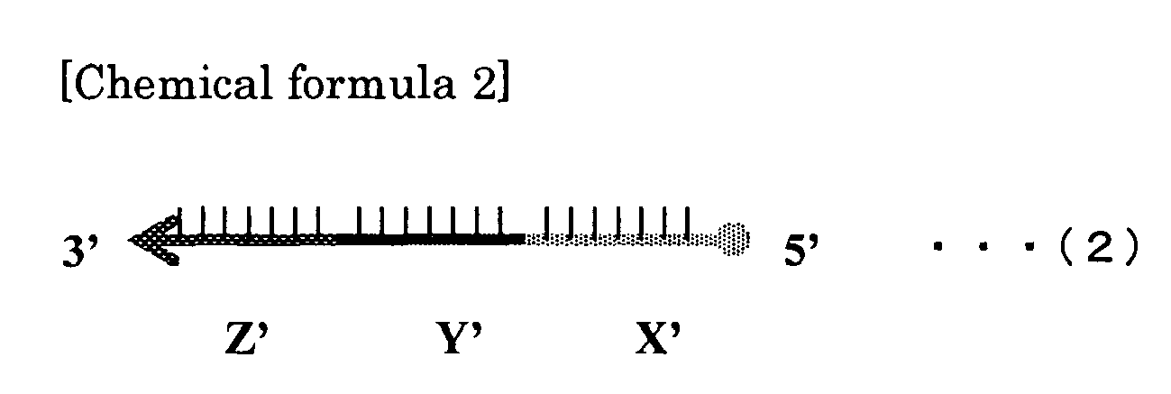 Figure imgb0002