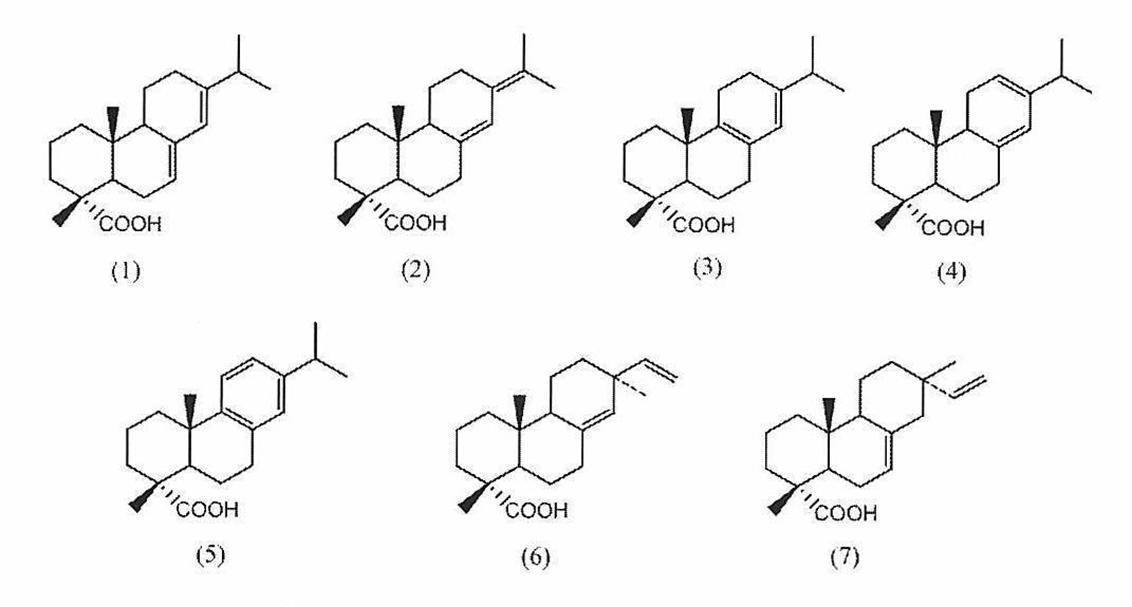 Figure JPOXMLDOC01-appb-C000032