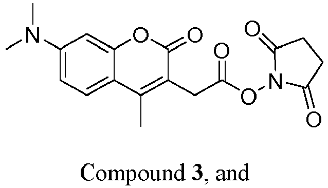 Figure imgb0048