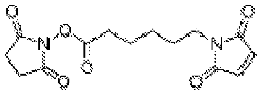 Figure imgf000044_0002
