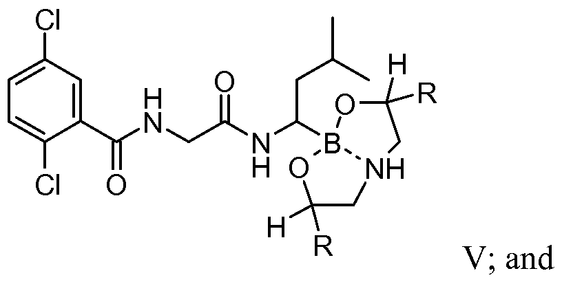 Figure imgf000030_0001