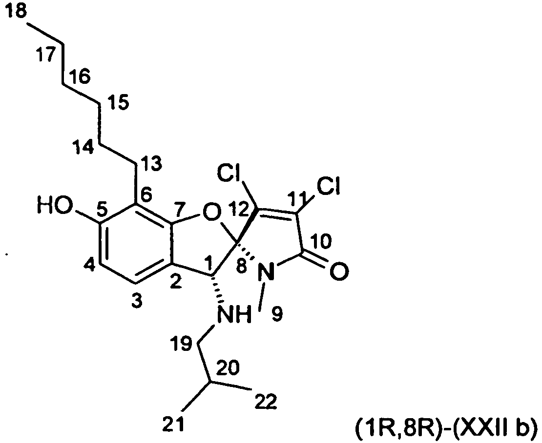 Figure imgb0017