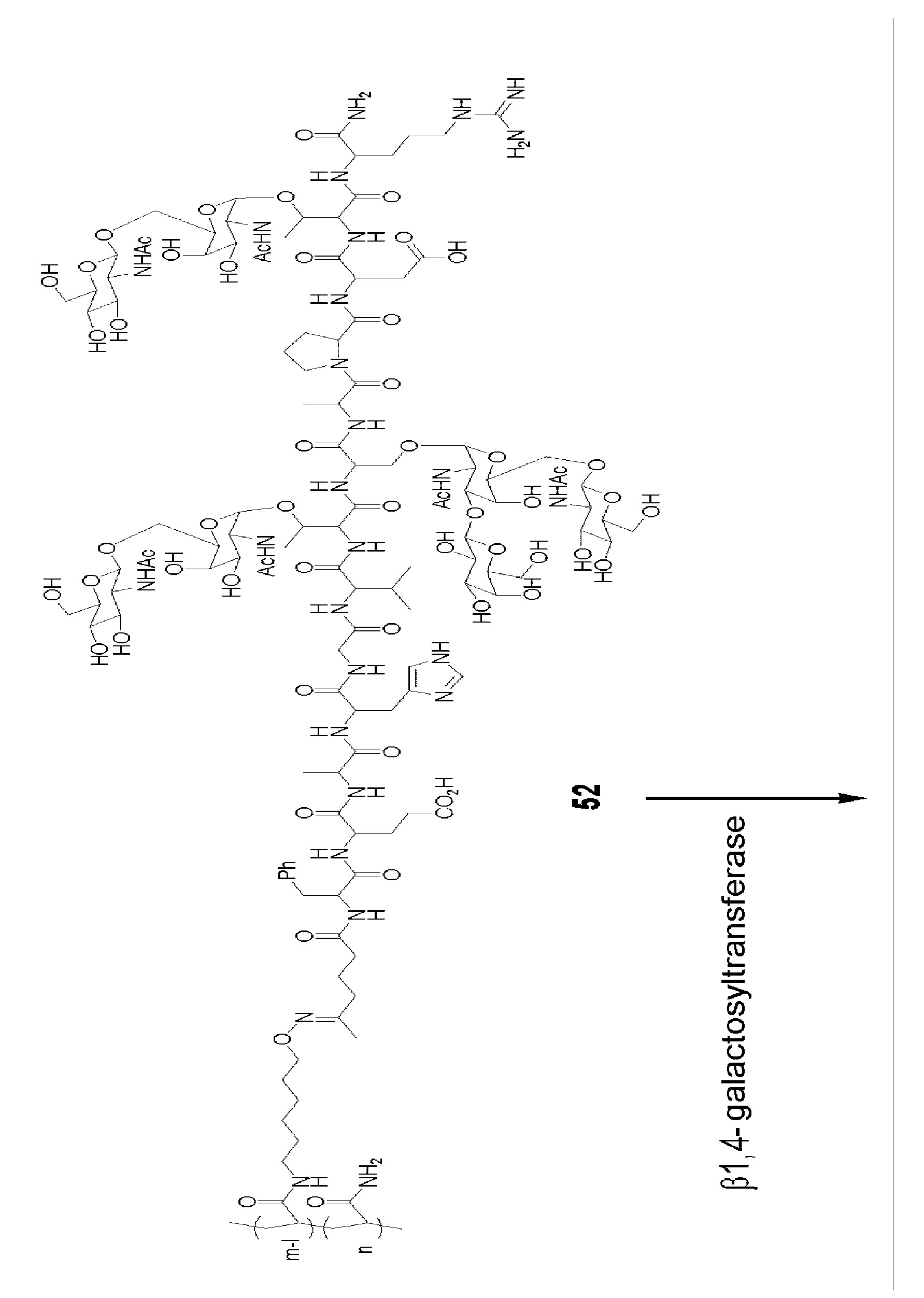 Figure imgb0113