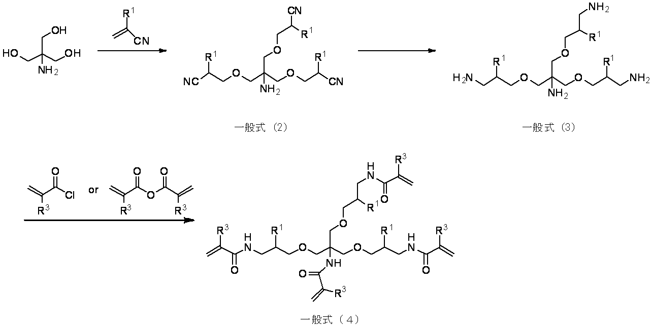 Figure JPOXMLDOC01-appb-C000011