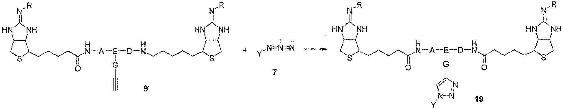 Figure imgb0079