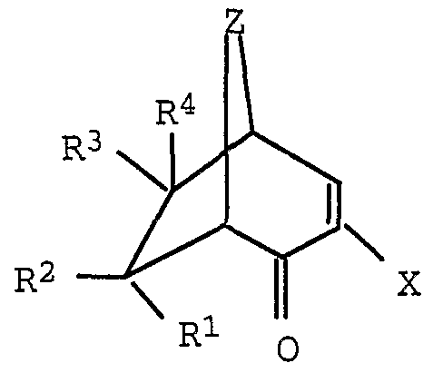 Figure imgf000005_0002