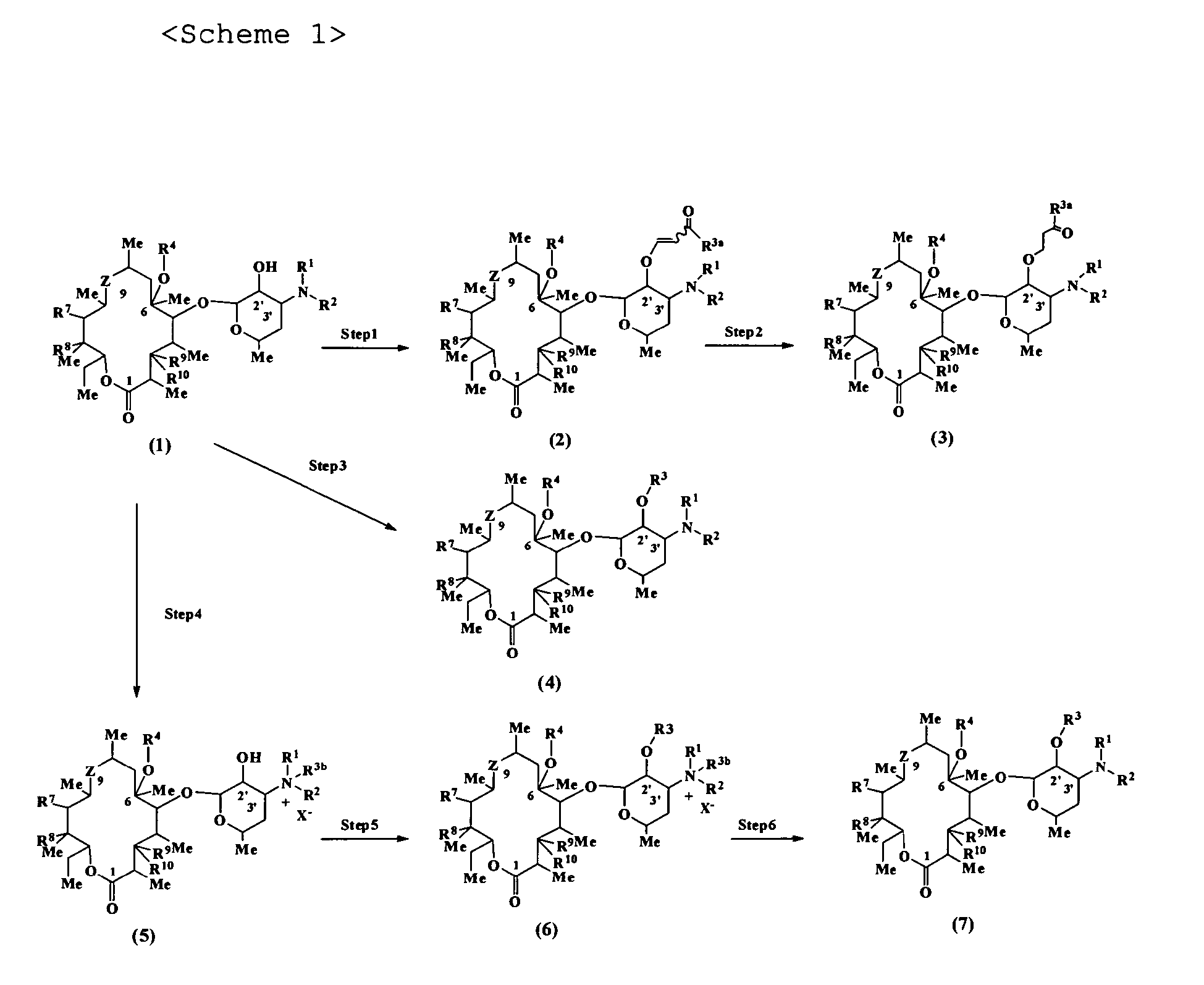 Figure imgb0010