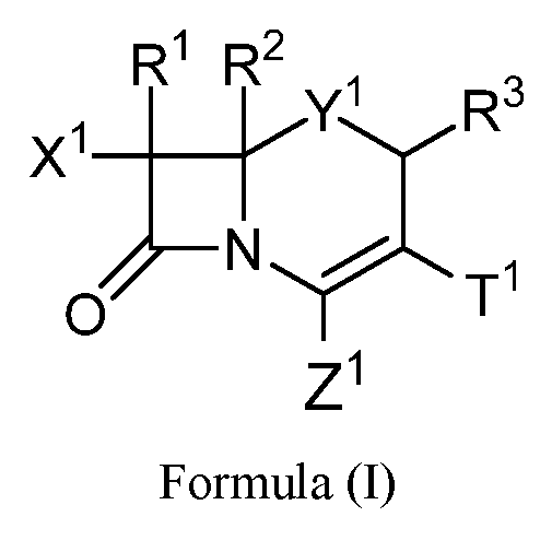 Figure imgf000019_0003