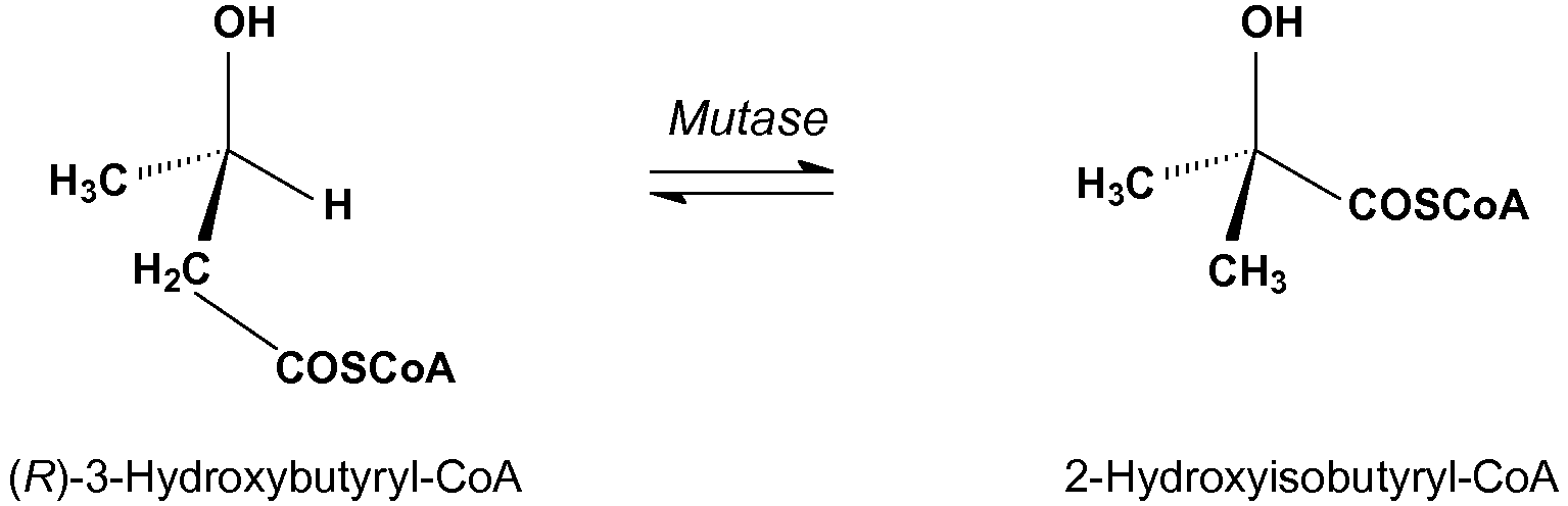 Figure imgb0001