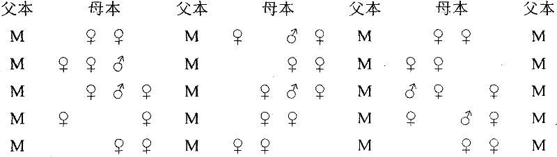 Figure GSB00000546401500051