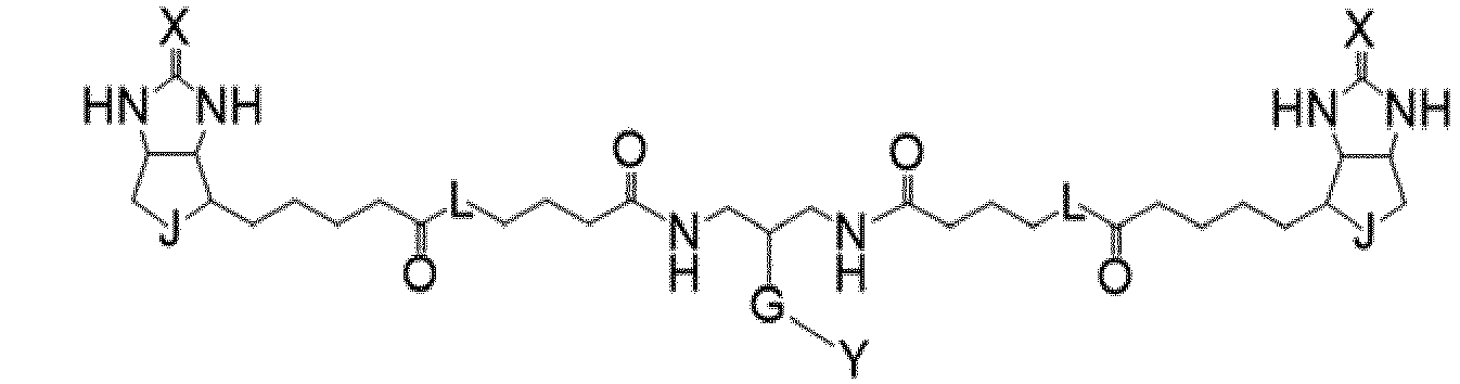 Figure imgb0207