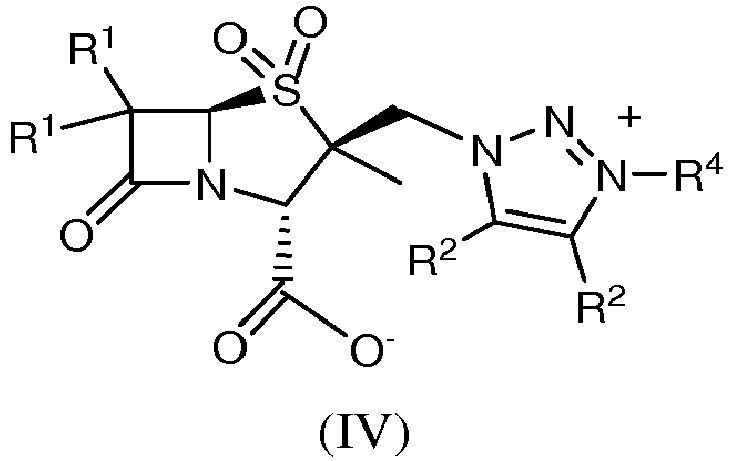 Figure imgb0021