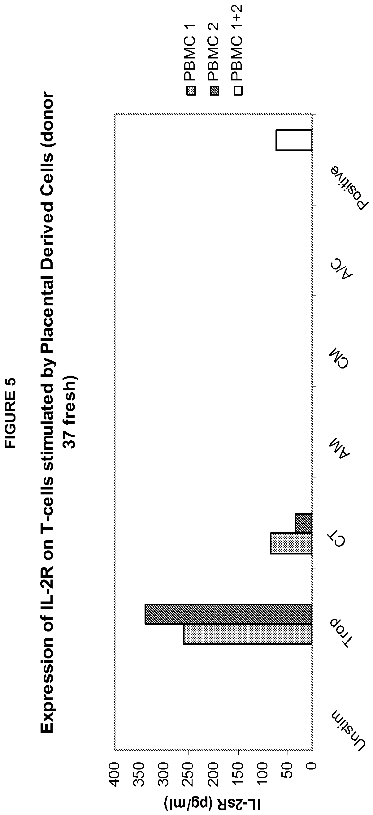 diabetes alveolarepithelzellen tipo 2