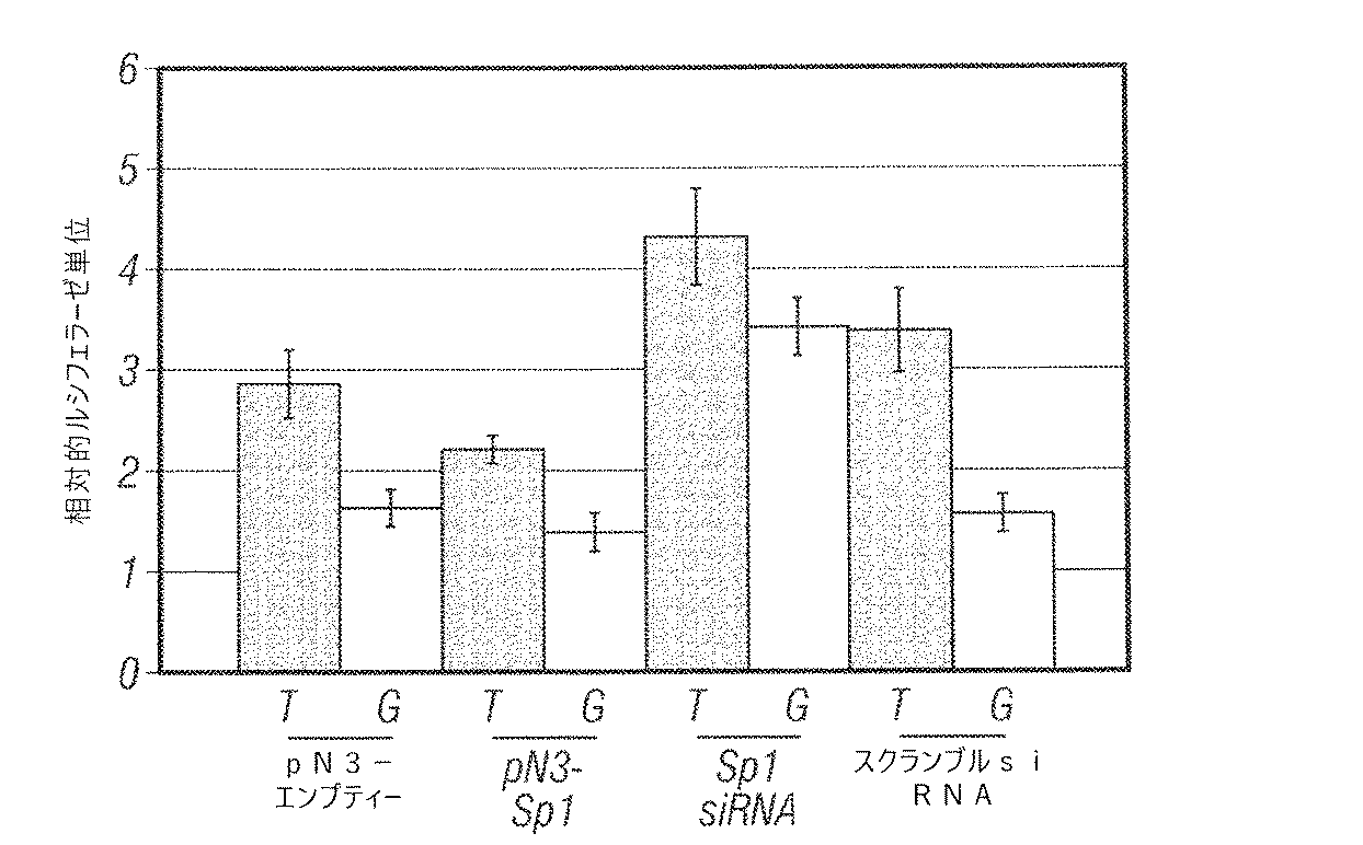 Jp2017519770a ｏｄｃ１遺伝子型に基づく癌腫の診断および処置 Google Patents