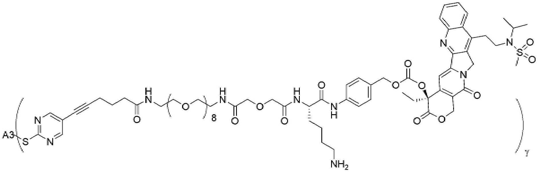 Figure pct00560