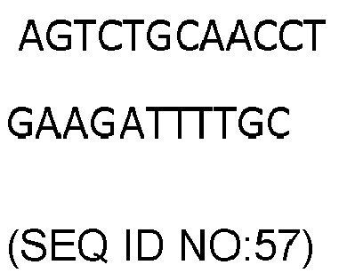 Figure imgb0023