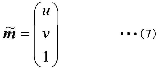 Figure imgb0010