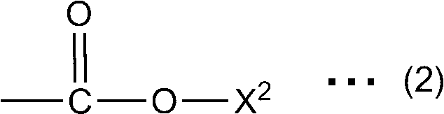 Figure JPOXMLDOC01-appb-C000012