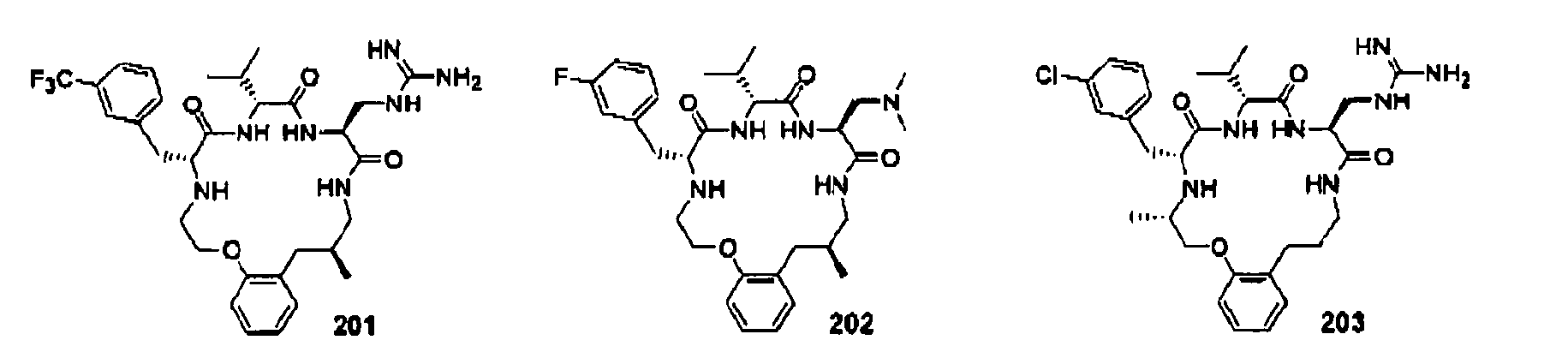 Figure imgb0807