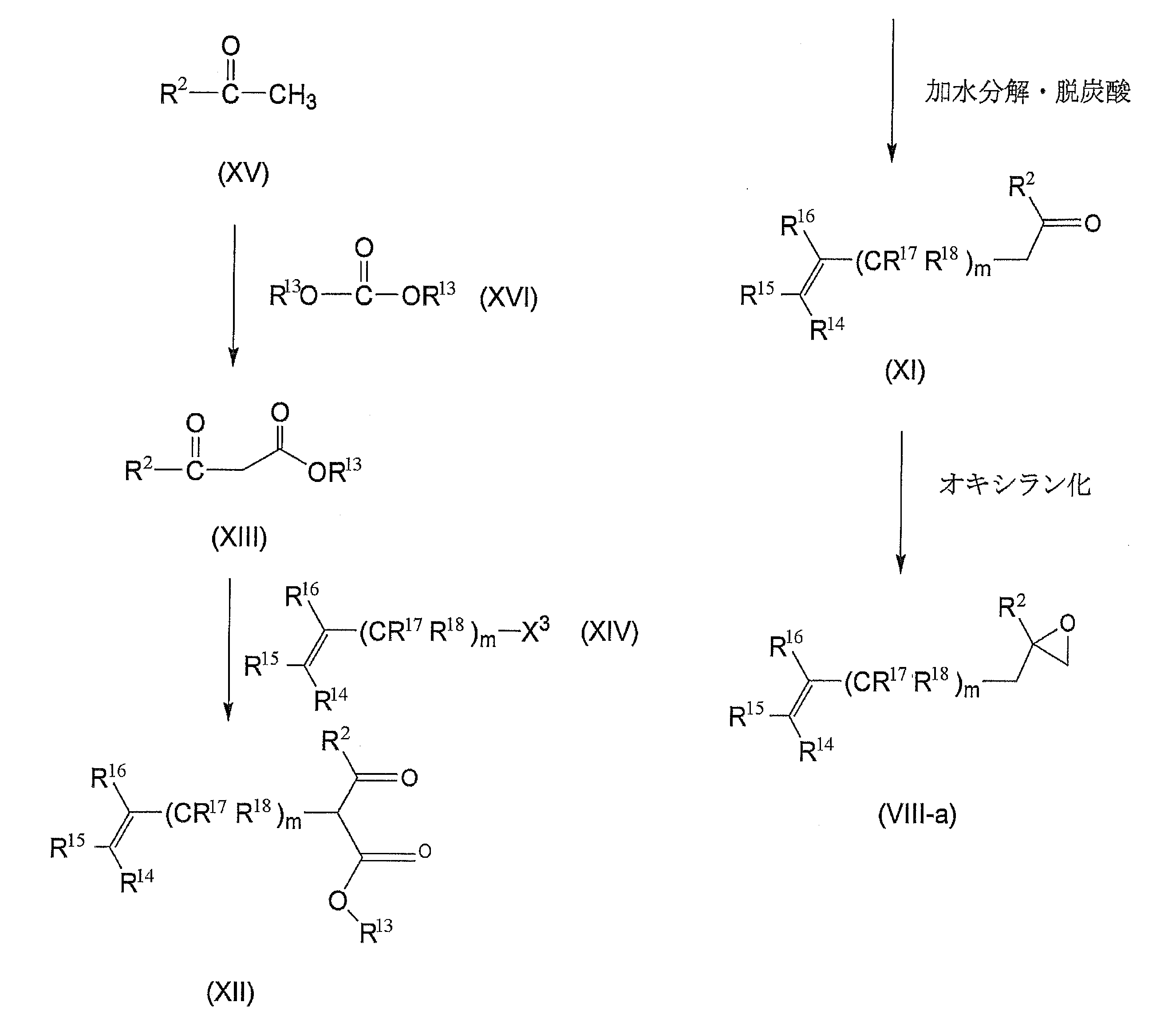 Figure JPOXMLDOC01-appb-C000016