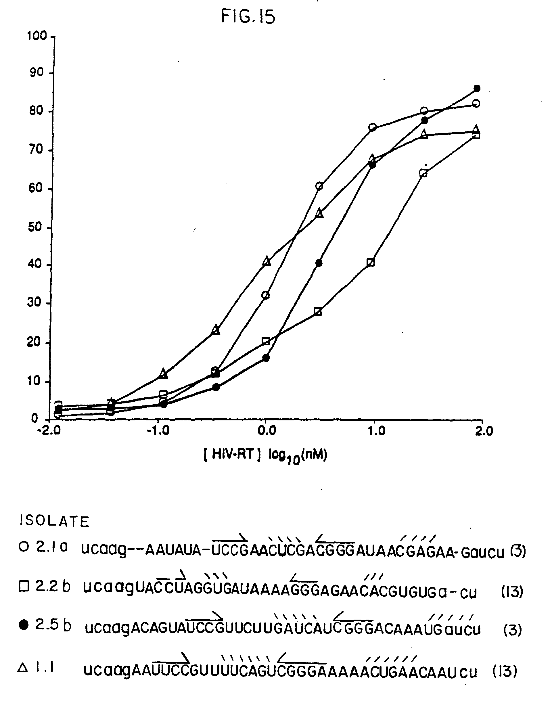 diabetes ribonucleasa tipo iii