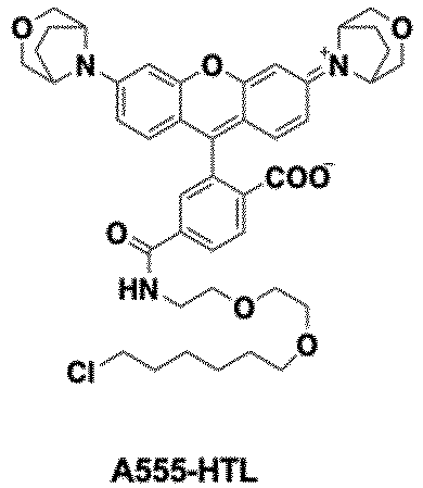 Figure imgb0144