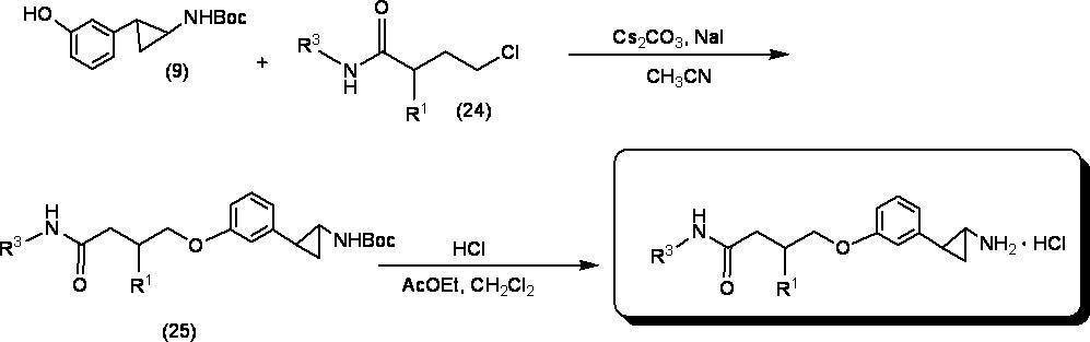 Figure JPOXMLDOC01-appb-C000087