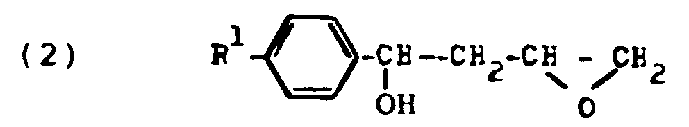 Figure imgb0013
