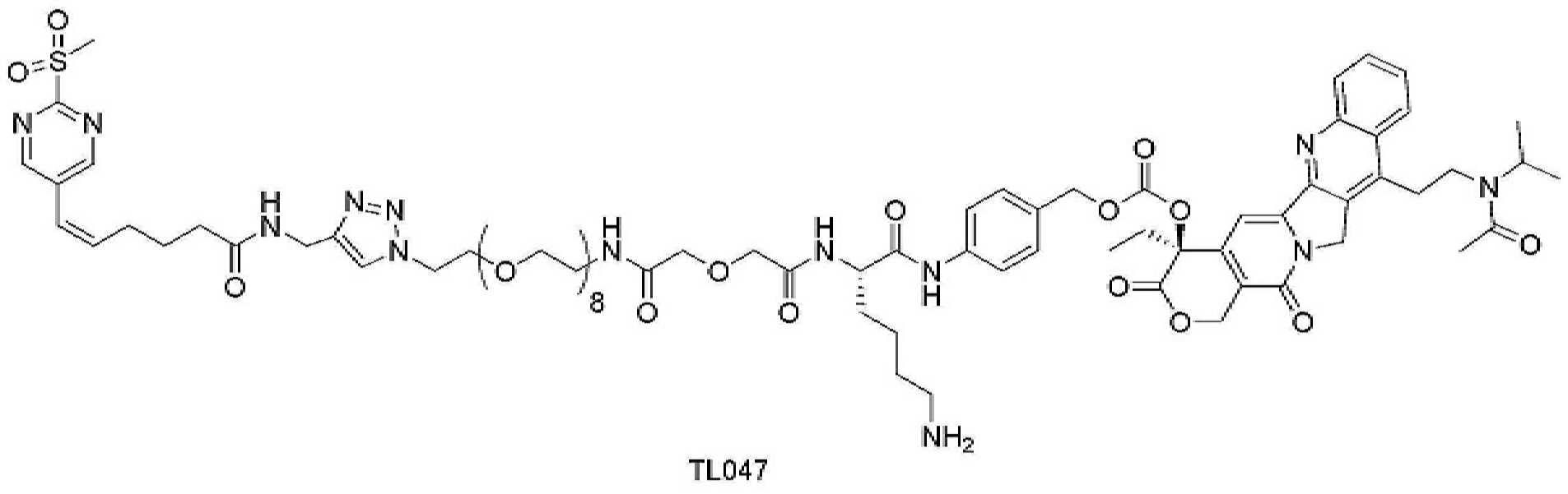 Figure pct00347