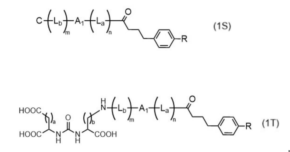 Figure JPOXMLDOC01-appb-C000028