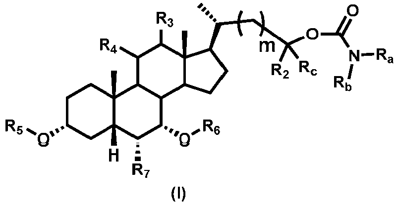 Figure imgb0001