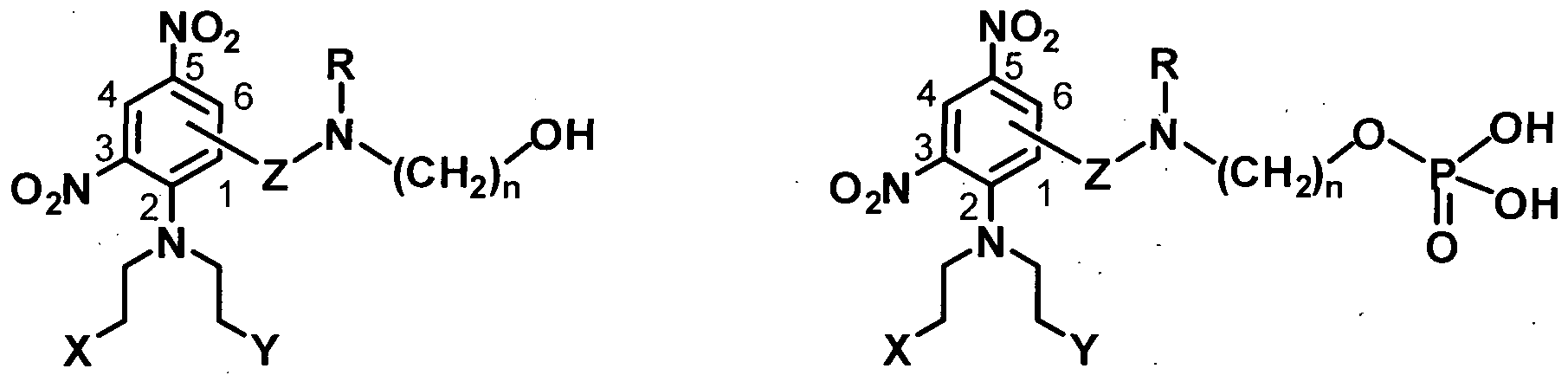 Figure imgf000008_0001