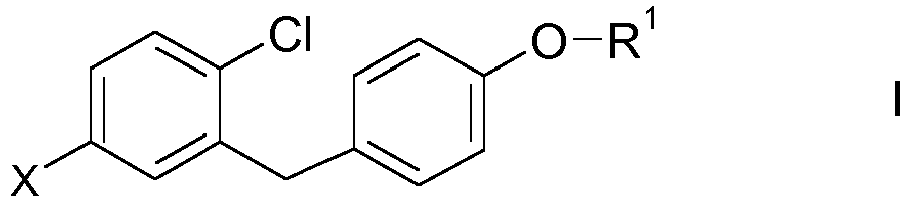 Figure imgb0013