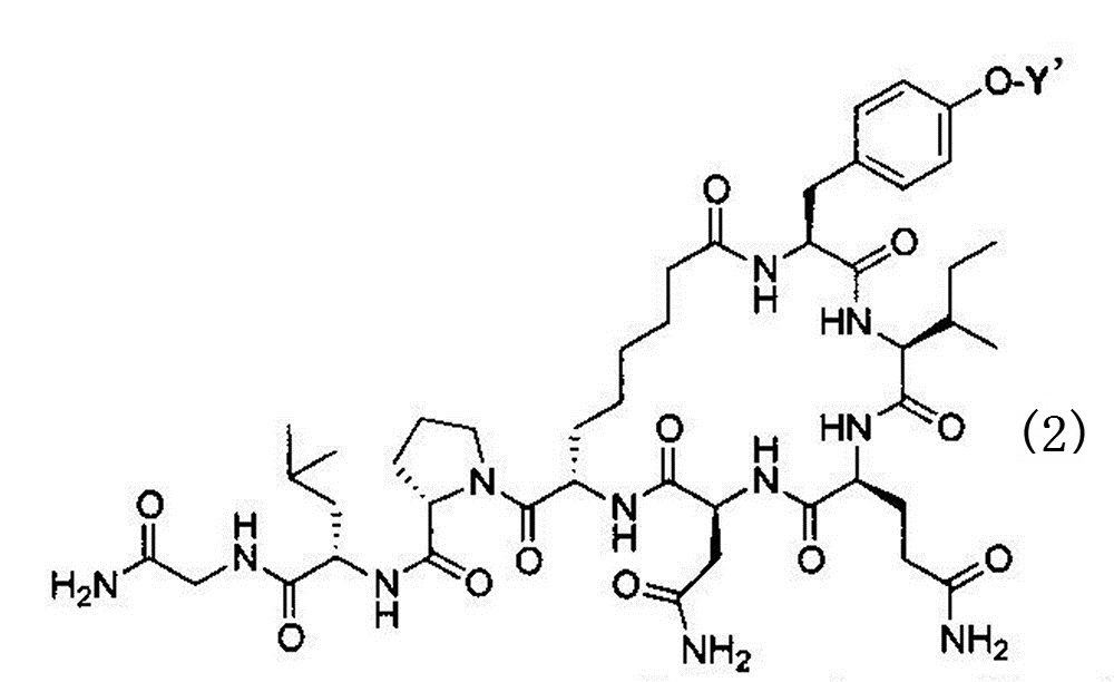 Figure JPOXMLDOC01-appb-C000006