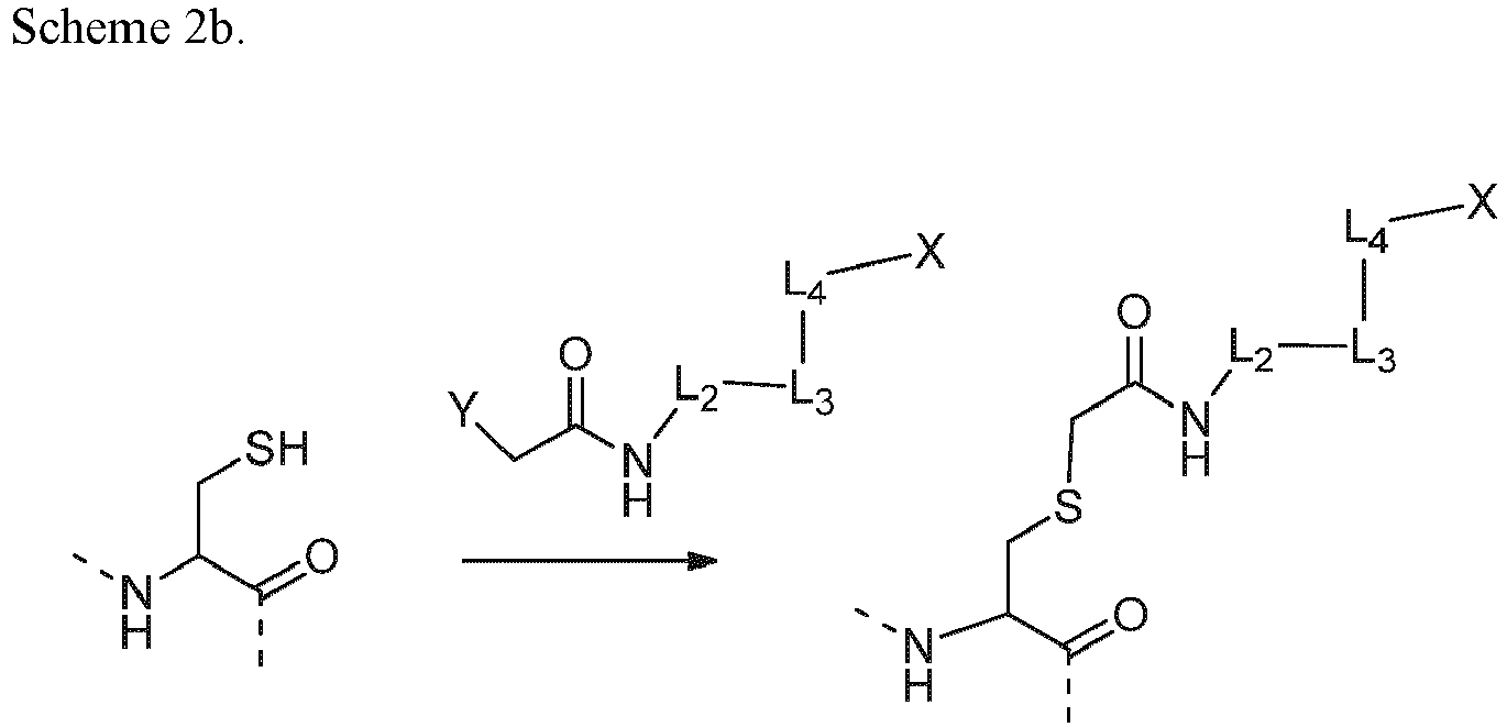 Figure imgb0202