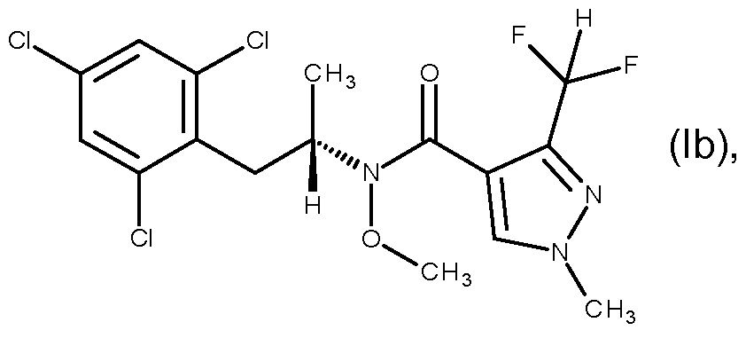 Figure imgf000020_0001