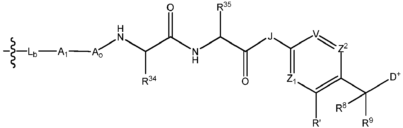 Figure imgb0072