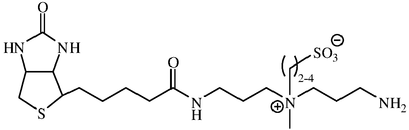 Figure imgb0010