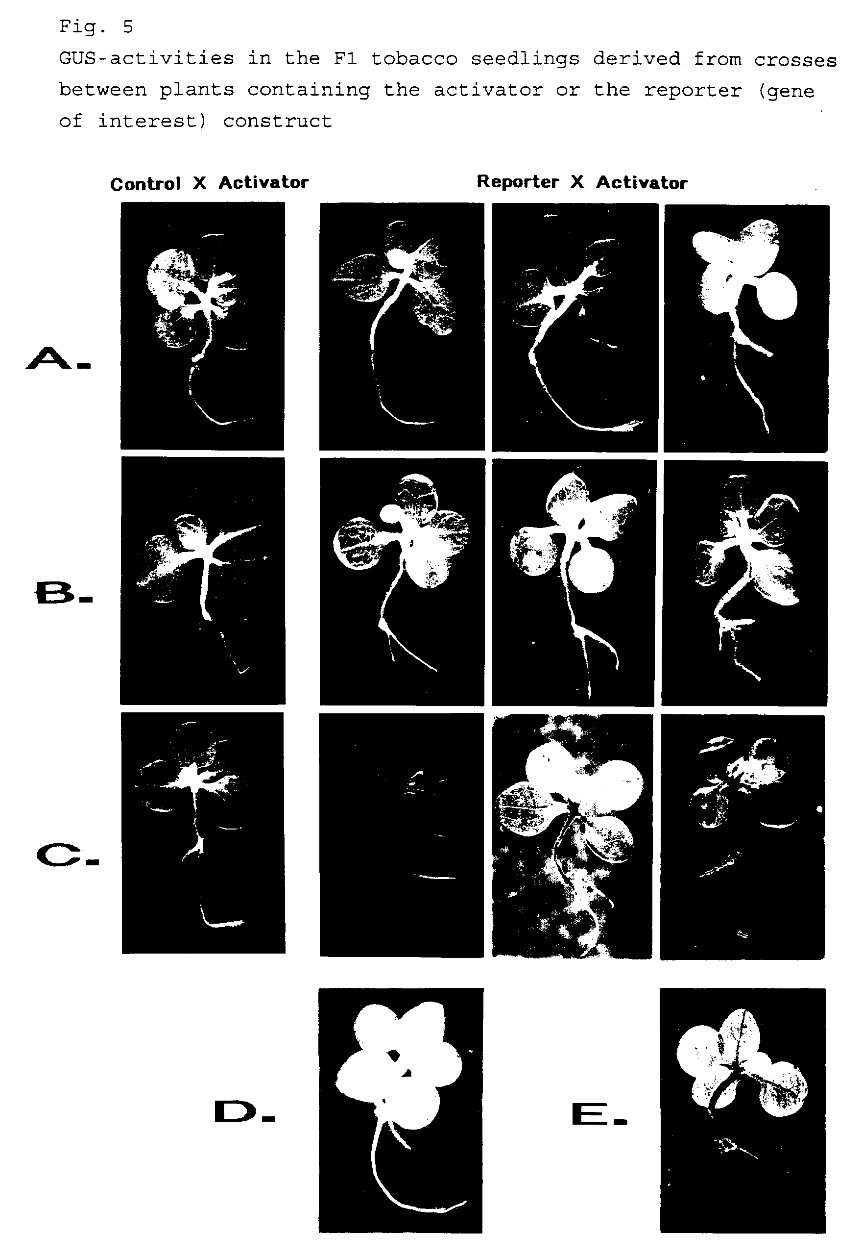 Figure 00280001