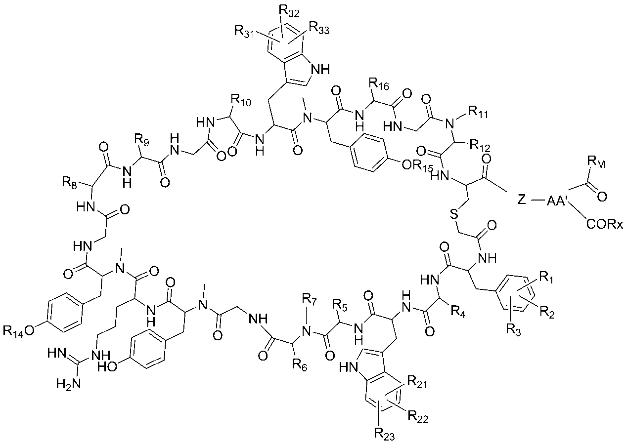 Figure JPOXMLDOC01-appb-C000067