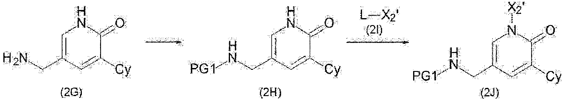 Figure imgb0171