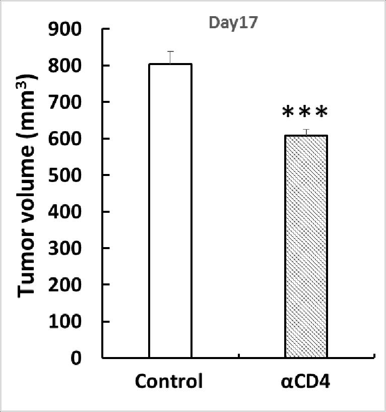 WO2015125652A1 - Therapeutic agent for solid cancer - Google Patents WO2015125652A1 - Therapeutic agent for solid cancer - Google Patents