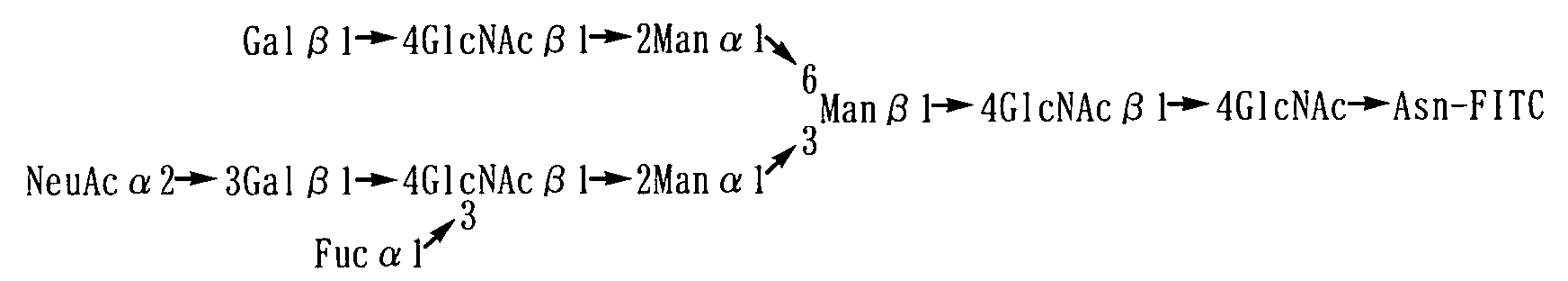 Figure 01040004