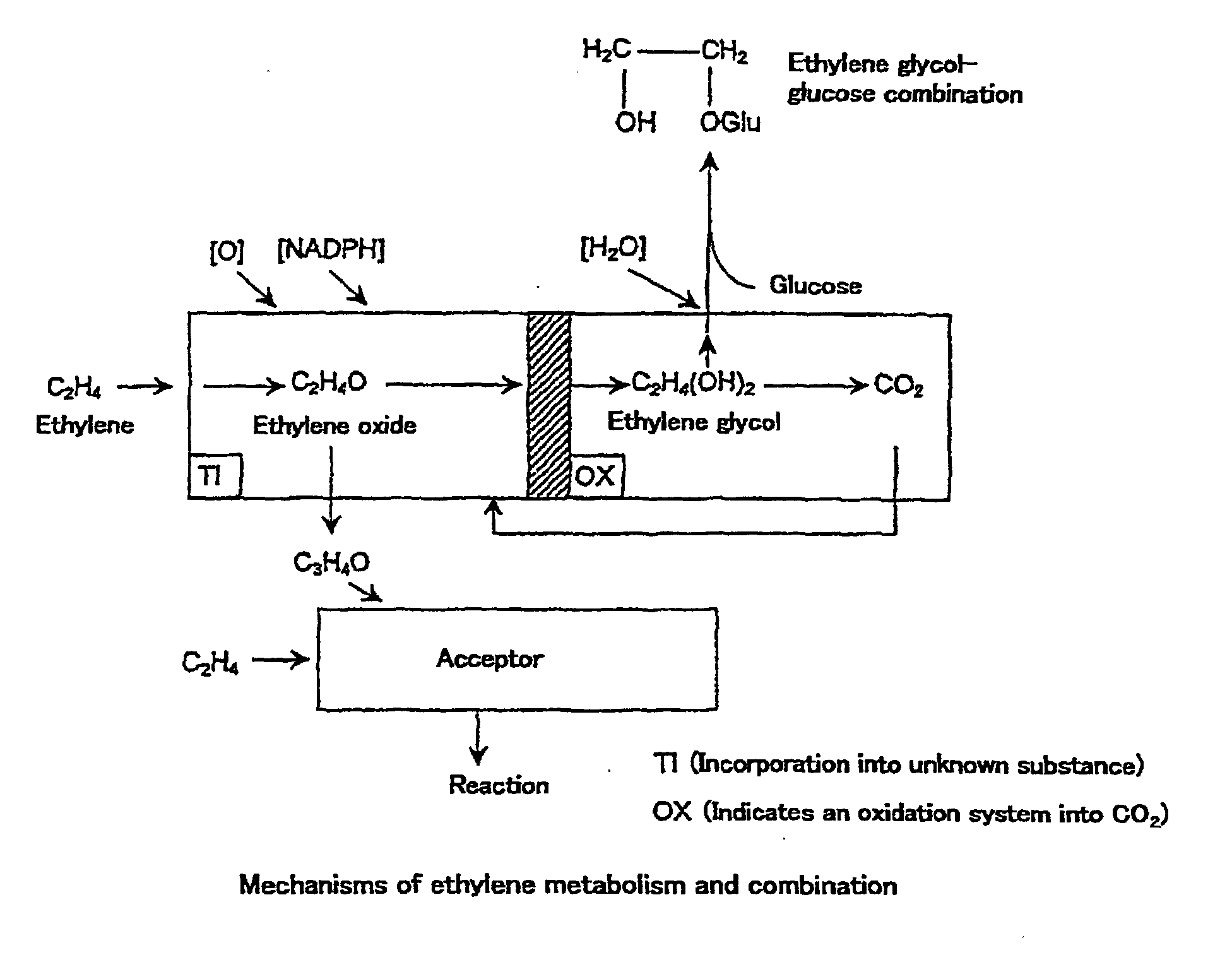 Figure 00120001