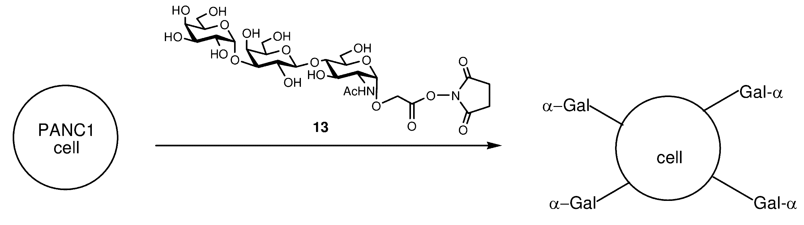Figure JPOXMLDOC01-appb-C000034