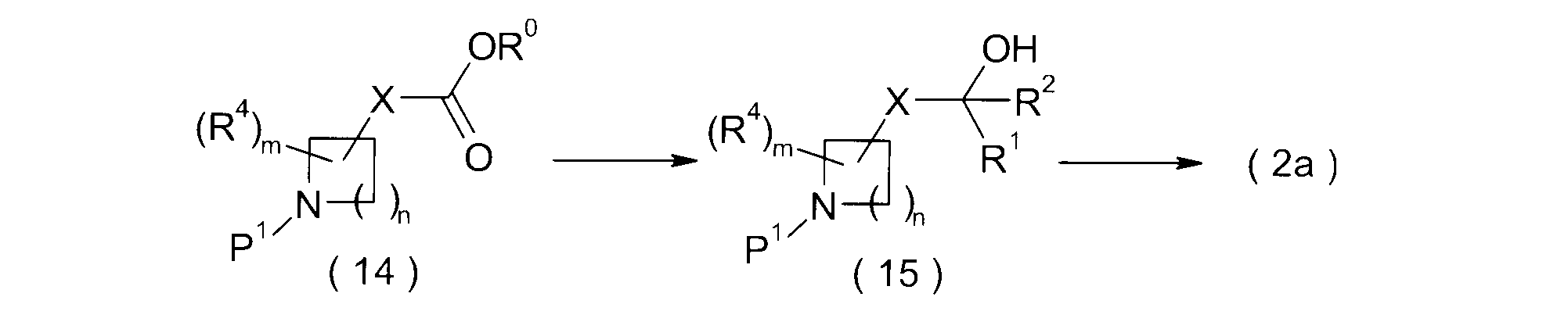 Figure JPOXMLDOC01-appb-C000017