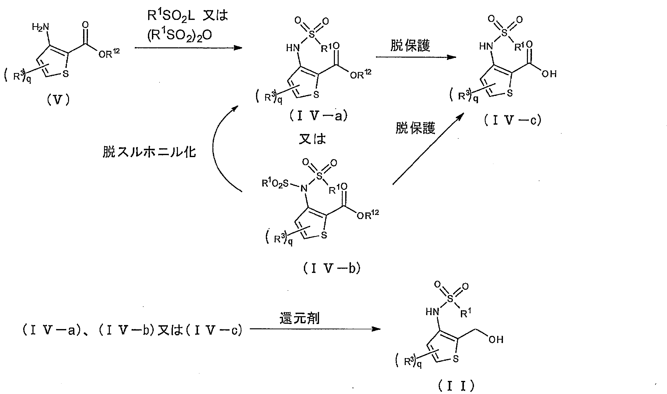 Figure JPOXMLDOC01-appb-C000013